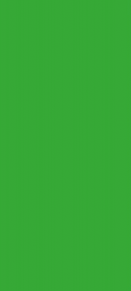 BANNERLUIZ